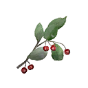 Highland Berries icon