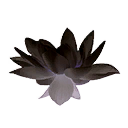 Black Lotus Flower icon