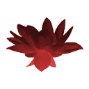 Crimson Lotus Flower icon