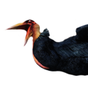 Siptah Pelican Carcass icon