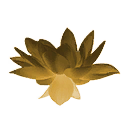 Golden Lotus Flower icon