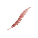 Feather icon