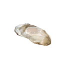 Oyster Flesh icon