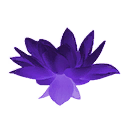 Purple Lotus Flower icon