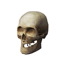 Weathered Skull icon