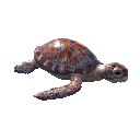 Turtle Hatchling icon